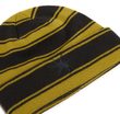 Skate Blurry Stripe Beanie Black
