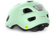 HOORAY MIPS dusted green