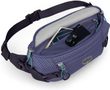 TRANSPORTER WAIST PACK, euphoria purple/purple ink