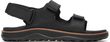 COVE LTR BACKSTRAP M black