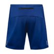 R5 2in1 Shorts ultramarine blue