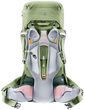 Aircontact Core 55+10 SL grove-ivy