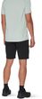 Ducan Shorts Men strata