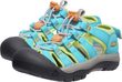 NEWPORT BOUNDLESS CHILDREN blue atoll/daiquiri green