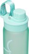 Bottle - Mint 650 ml