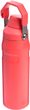 IceFlow™ Bottle Fast Flow 700 ml Hot Coral