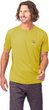 BASTER warm olive