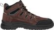 BAXTER O1 High Brown