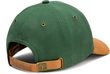 Archive Baseball Cap  Pineneedle