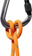 8.7 Alpine Sender Dry Rope 60m vibrant orange-ocean