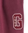 853431-01 Tepláky Logo Heavyweight Červená