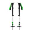 EXPEDITION 3 SKI POLES