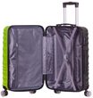 LLTC1/394 L -L_green-grey - zelená
