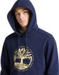 Tree Logo Lake House Graphic Hoodie  Peacoat