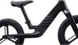 PRE RCARBON PUSH BIKE