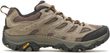 MOAB 3 walnut