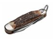 Camp Knife Stag
