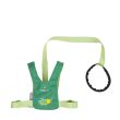 Toddler Animal Reins; turtle