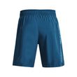 UA Woven Graphic Shorts, Blue