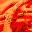 8.0 Alpine Dry Rope 50m vibrant orange-boa
