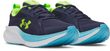 BGS Assert 11-BLU