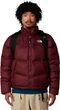 BOREALIS 28L Garnet/Dark Chestnut