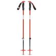 TRAVERSE SKI POLES Octane
