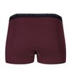 WarmWool Boxer shorts, Woman Fig
