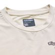 RUCKUS RIDE TEE ART & SPEED PUMICE