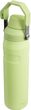 Aerolight IceFlow Fast Flow 600 ml Citron