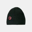 Sublime Beanie black