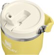 IceFlow™ Flip Straw 2.0 Tumbler 600 ml Daffodil