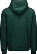 POC Hood  Pargasite Green