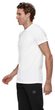 Mountain T-Shirt Men Eiger white