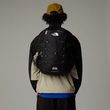 BOREALIS CLASSIC 29L, TNF Black/Asphalt Grey-NPF