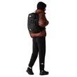 Borealis Classic 29 l, black/asphalt grey