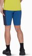 Ducan Shorts Men marine-tschiel
