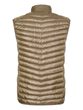 ADARE, khaki stripe