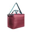 COOLER BAG L 25 bordeaux red