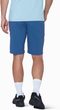 Hiking V Shorts Men tschiel