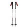 EXPEDITION 2 SKI POLES