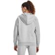 Rival Fleece FZ Hoodie-GRY