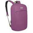 OSPREY ARCANE LARGE DAY 21 shiso purple heather