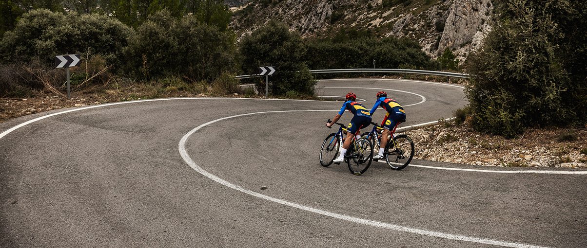 How to choose a road bike?
