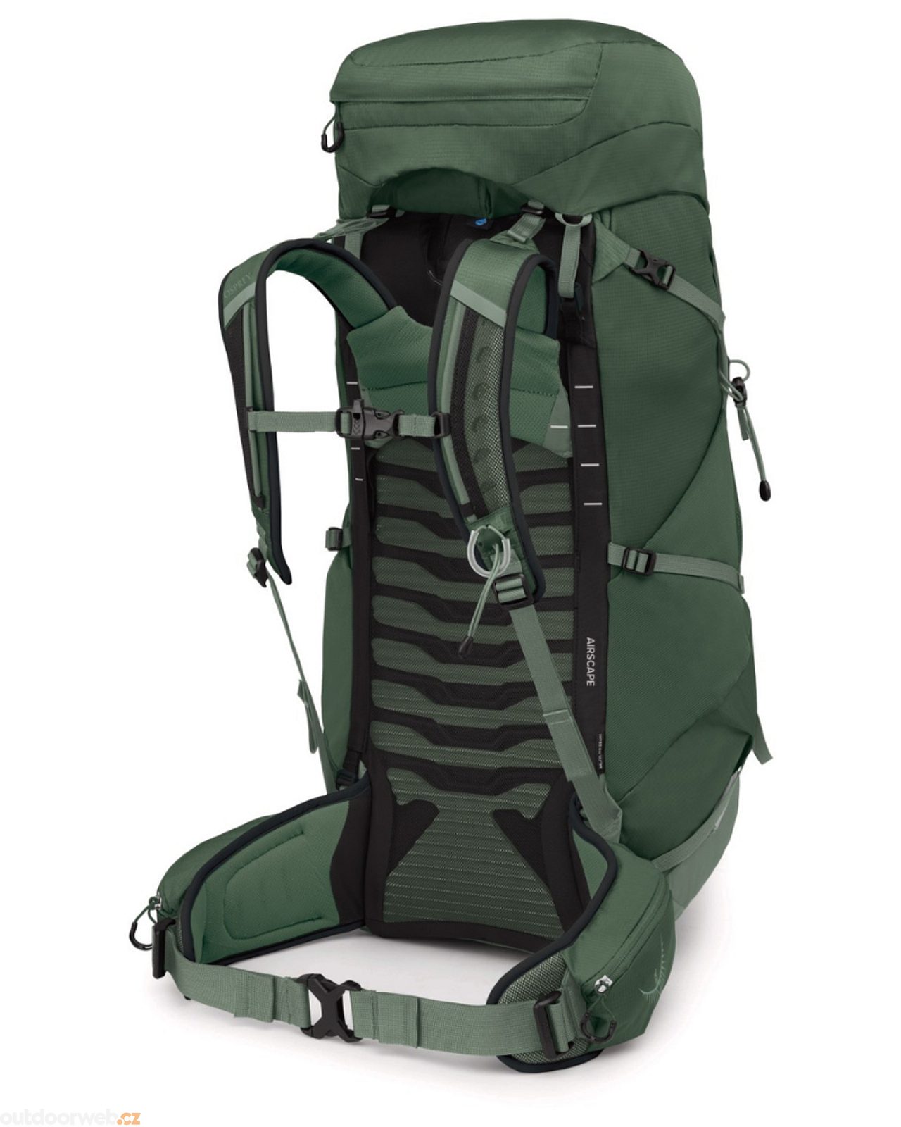 TALON 44, green canopy/pine leaf - men's hiking backpack - OSPREY