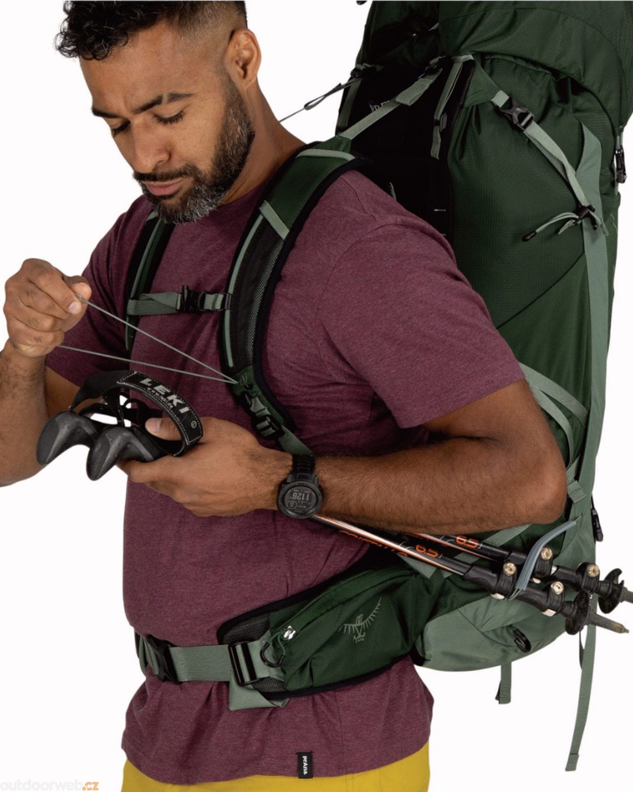 TALON 44, green canopy/pine leaf - men's hiking backpack - OSPREY