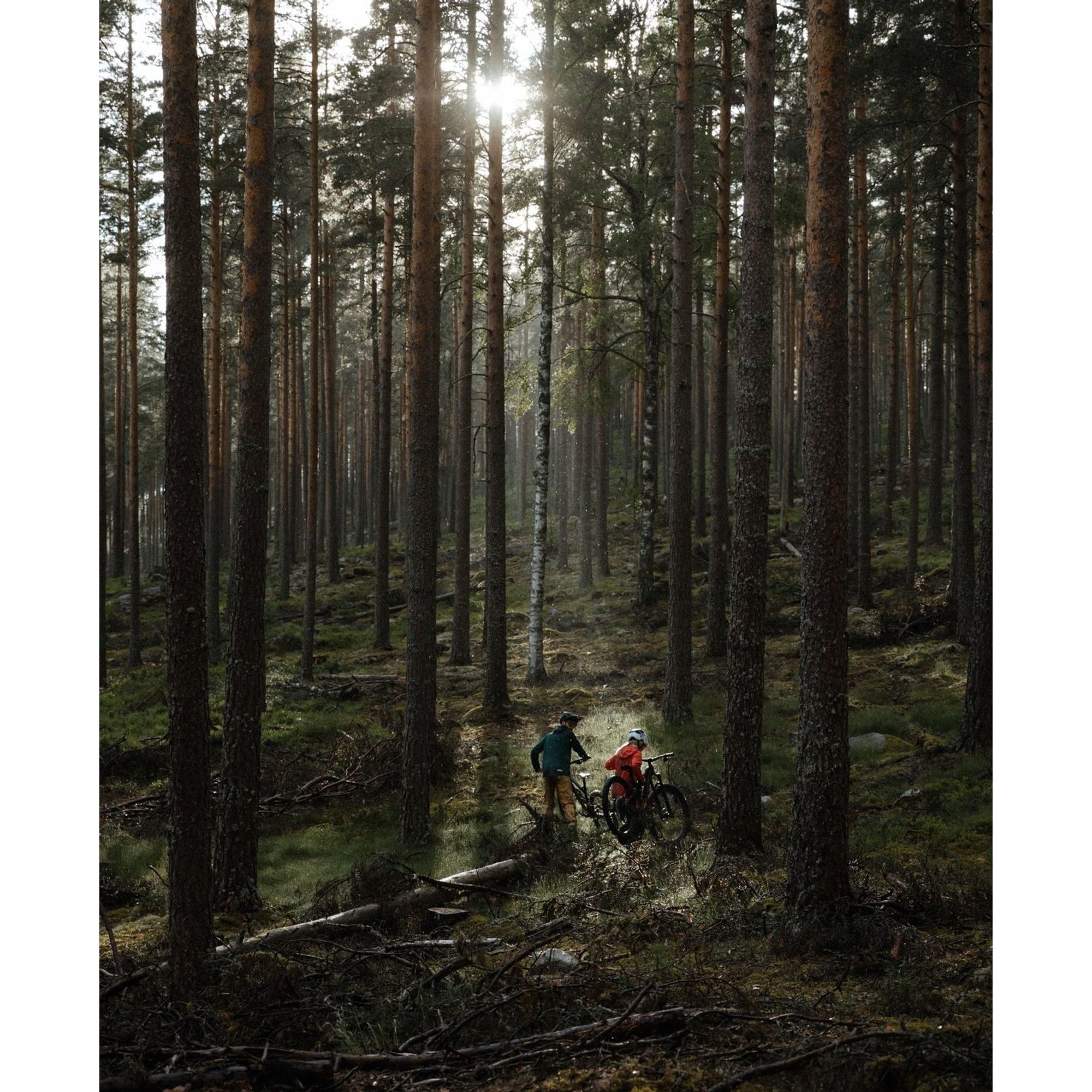 W's MTB Pure LS Jersey, Propylene Red/Agate Red