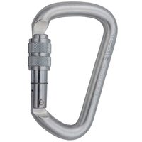 CAMP Steel D Pro Lock