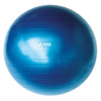 Gymball - 75 cm modrý