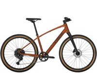 TREK Dual Sport 3 Pennyflake